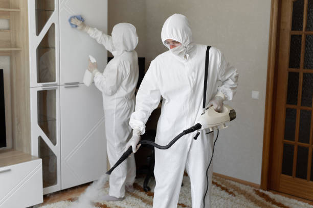 Certified Mold Removal in Dickson, OK