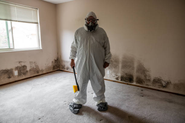 Best Home Mold Removal  in Dickson, OK